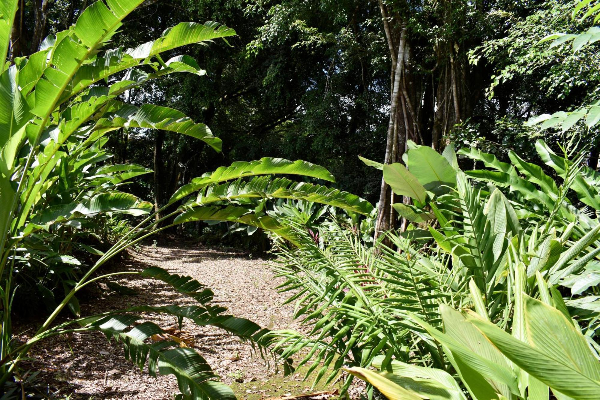 Hotel Arenal Country Inn La Fortuna 외부 사진