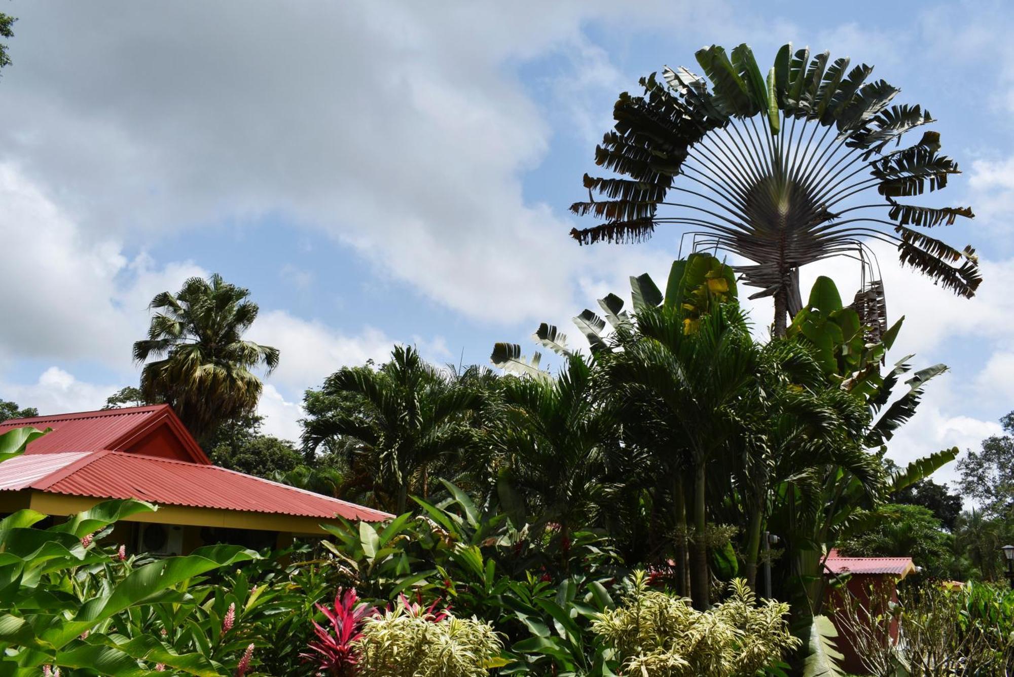 Hotel Arenal Country Inn La Fortuna 외부 사진