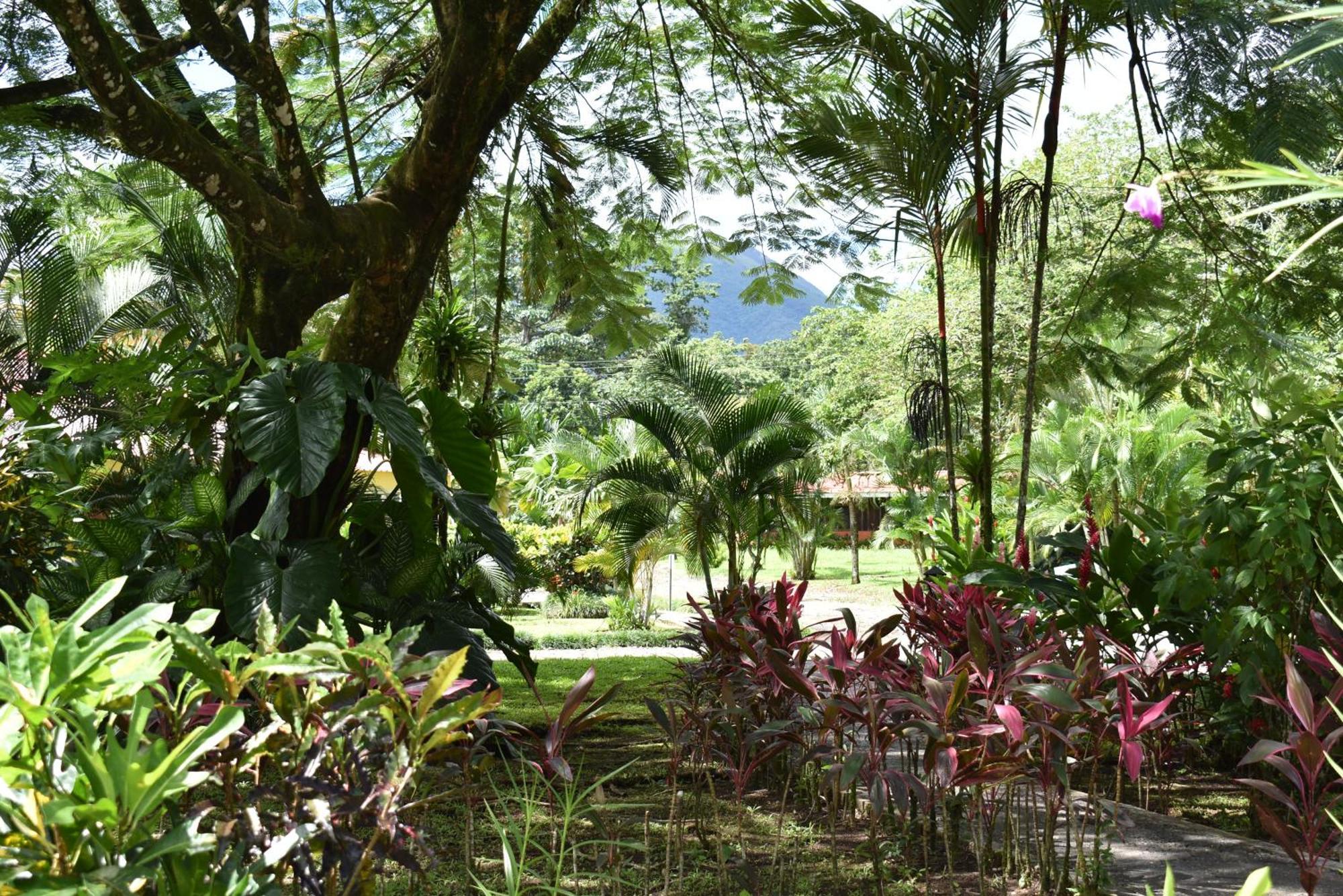 Hotel Arenal Country Inn La Fortuna 외부 사진